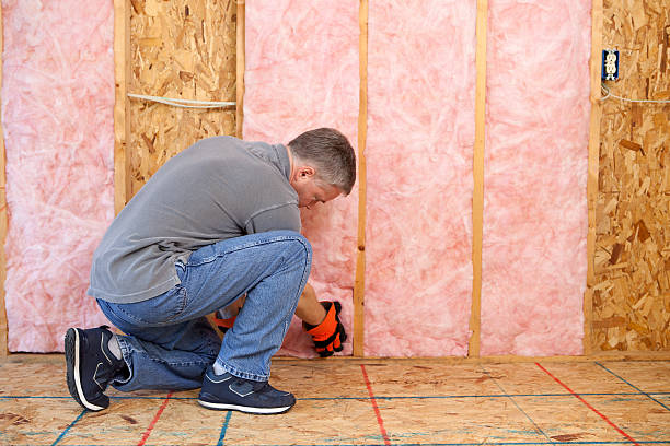 Best Specialized Insulation Services in Richmond Heights, FL